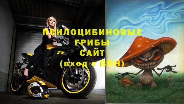 герыч Алзамай