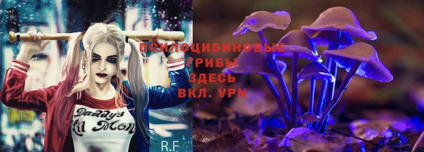 герыч Алзамай